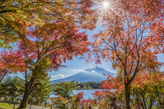 日本秋天的富士山和川口湖