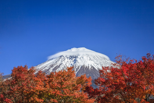富士山与日本的秋叶