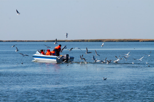 海上冲浪B