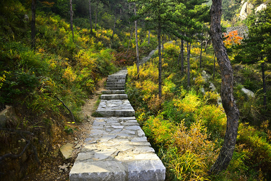 山路