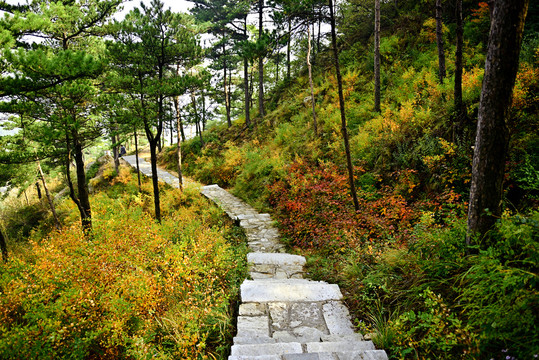 山路秋色
