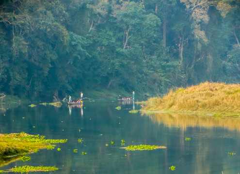 尼泊尔热带雨林