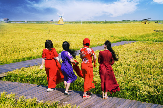 稻田生态旅游