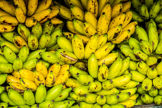 印尼巴厘岛乌布的新鲜香蕉