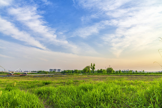 蓝天白云绿草地