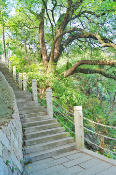 福州乌山风景