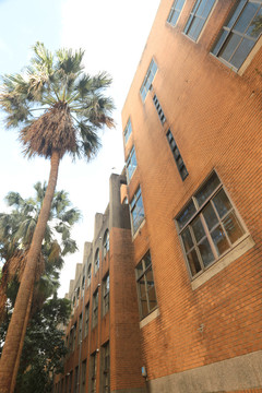 国立台湾大学