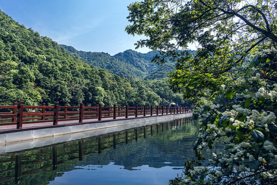 山水景色