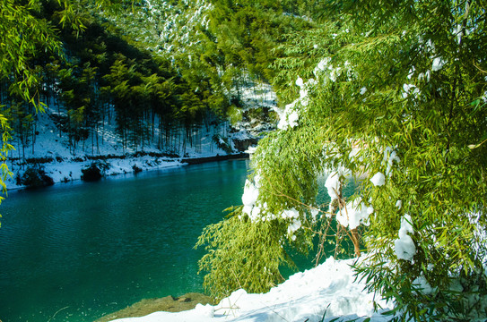 安吉竹海雪景