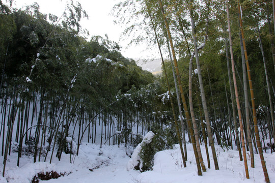 莫干山雪景