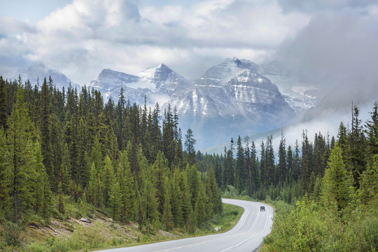 加拿大夏季森林公路