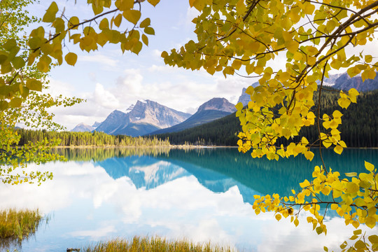 加拿大山区美丽的秋天