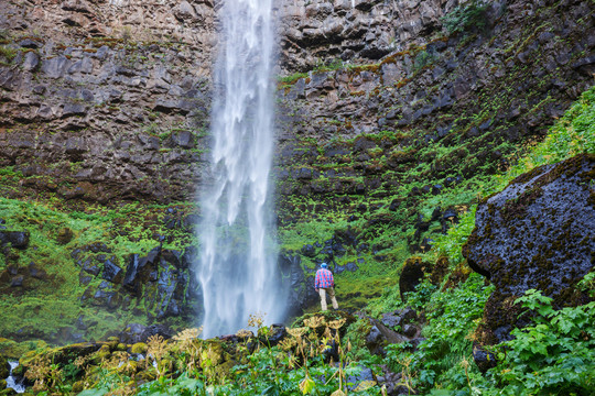 美国俄勒冈州绿林中美丽的瀑布。
