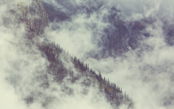 山上美丽的晨景。日出时有雾。