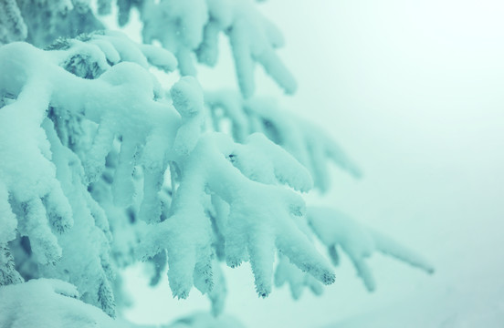 雪山覆盖着森林