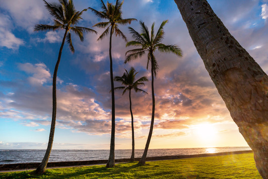 夏威夷海滩在奇妙的日落