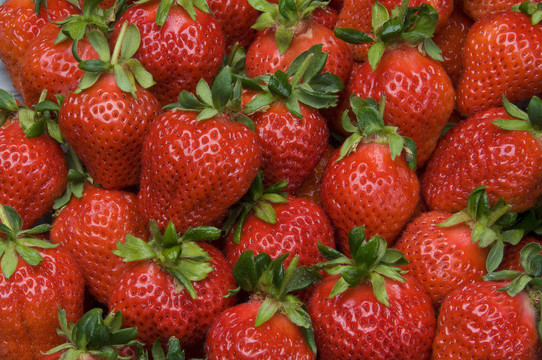 鲜果草莓画像