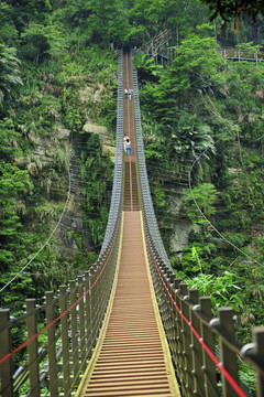 天梯台湾南投竹吊桥