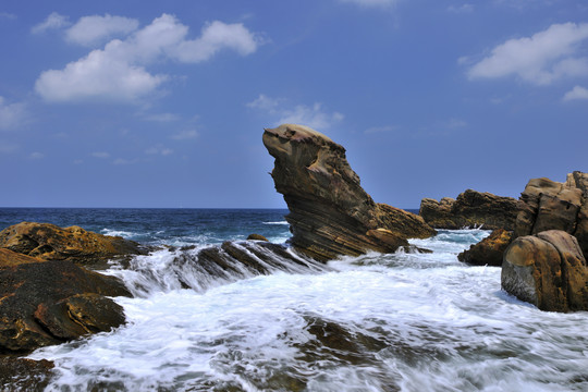 台湾新台北市海豹岩