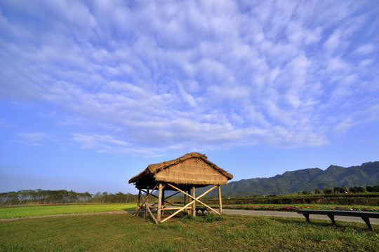 台湾坪地森林公园