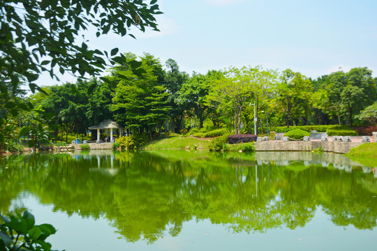 鹤山公园湖景