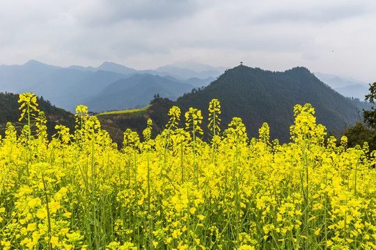 石潭古村落