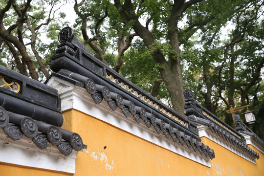 法雨寺