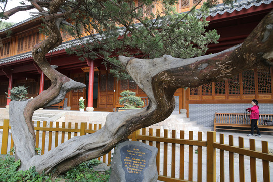 法雨寺