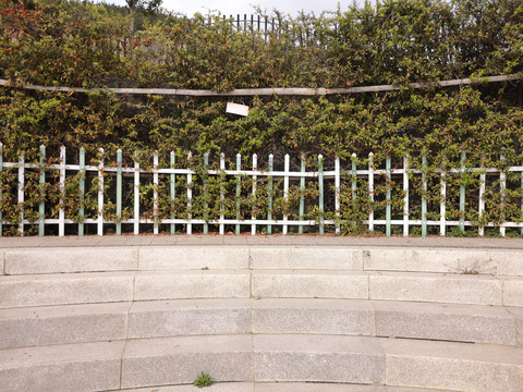绿植围墙