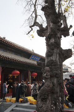 北京广化寺五佛宝殿