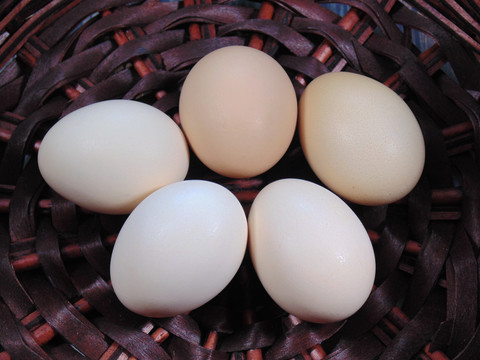 白壳鸡蛋