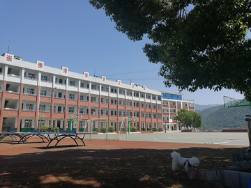 学校