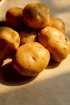 高山小土豆