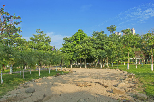 公园沙滩绿树