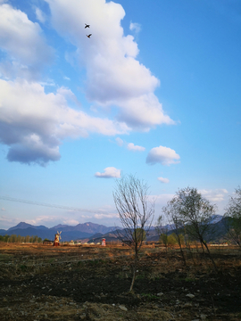 郊区风景