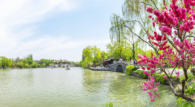 园林风景