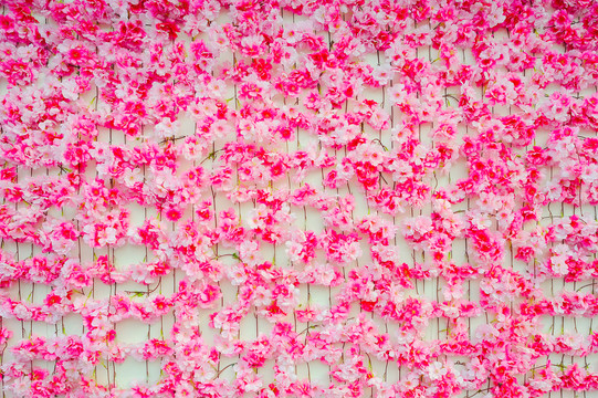 樱花背景墙