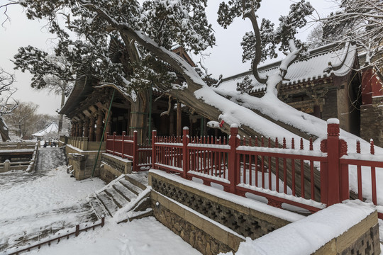 晋祠博物馆景区雪后风光
