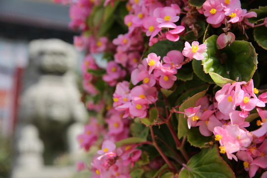 上海体育学院