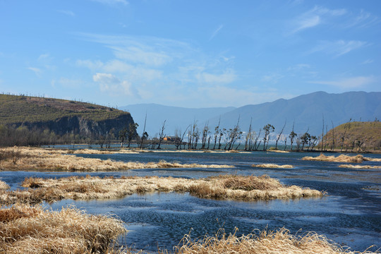 大理洱海