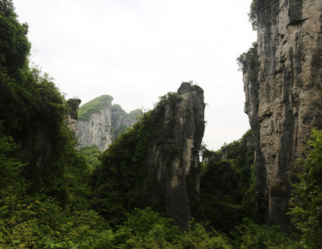 湖北建始黄鹤峰林景区