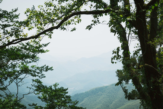 莫干山