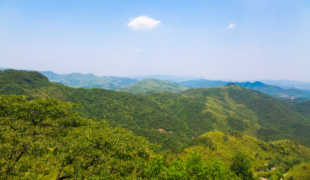 莫干山
