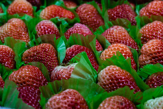 排列的草莓
