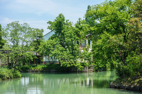 西溪湿地