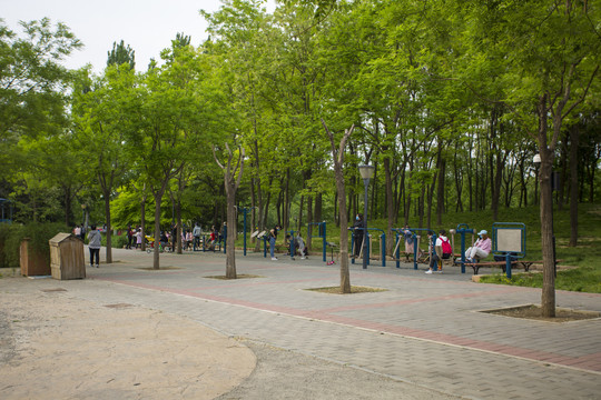 大望京公园