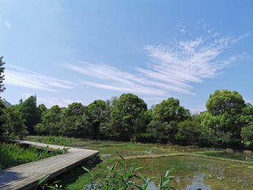 贵阳花溪湿地公园
