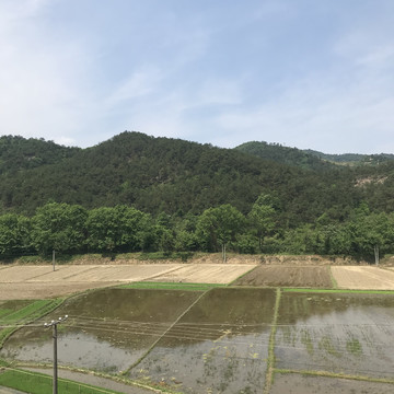 山间的田地