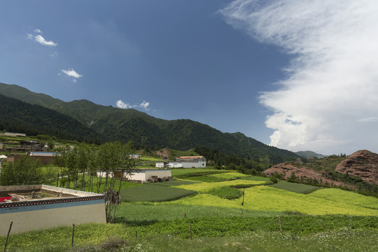 青海坎布拉风光