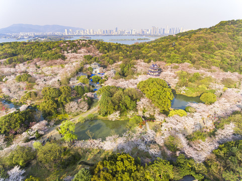 航拍太湖鼋头渚风景区